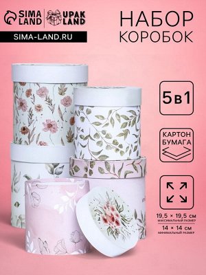 Набор круглых коробок 5 в 1 «Успокоение » , 19.5x19.5 - 14x14 см