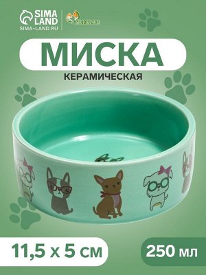 Миска керамическая "Важный пес" 250мл, 11,5 х 5 см, мятная