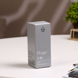 Наполнитель для ароматического диффузора Хюгге #16 Бамбуковая роща 100 мл