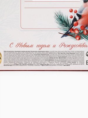Подарочный набор женский «С Новым годом и Рождеством», гель для душа, шампунь и пена для ванны 3x250 мл, РЯБИНА
