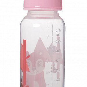 Набор детский «Первый подарок малышу», 6 предметов: бутылочка для кормления 250 мл, прорезыватель, ложка, вилка, расчёска, щётка