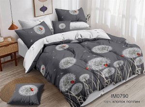 Постельное белье Поплин (0790)