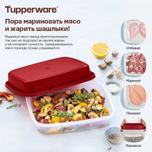 Маринадница