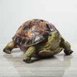 Копилка &quot;Черепаха&quot;, глянец, зелёный цвет, 14 см