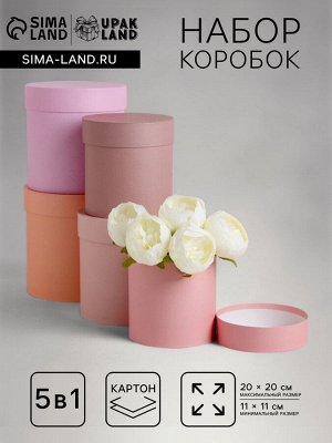 Набор круглых подарочных коробок 5 в 1 «Крема», 20x20x20- 11x11x11 см