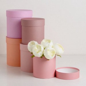 Набор круглых подарочных коробок 5 в 1 «Крема», 20x20x20- 11x11x11 см