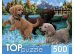 Пазлы 500 Игривые щенки