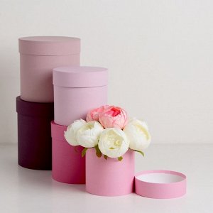 Набор круглых коробок 5 в 1 «Весенний», 20x20 - 11x11 см