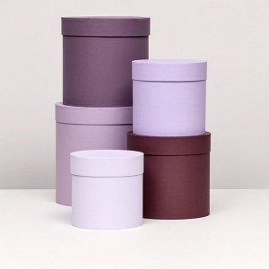 Набор шляпных подарочных коробок 5 в 1, Лаванда, 23x23-14x14 см