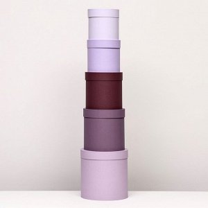 Набор шляпных подарочных коробок 5 в 1, Лаванда, 23x23-14x14 см