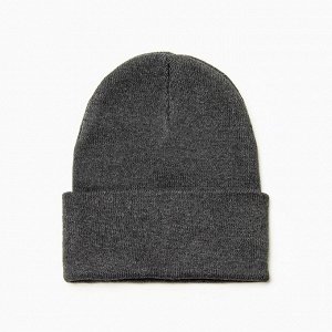 Шапка мужская двухслойная с отворотом, one size, цвет серый