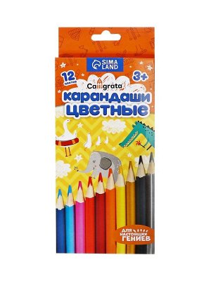 Карандаши цветные 12 цветов, корпус деревянный, треугольный, в картонной коробке