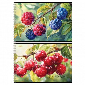 Альбом для рисования 32л., А4, на гребне BG ""Botanical""