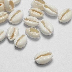 Бусины для творчества «Ракушка», 2x1 см, необычная,14-18 мм, набор 20 шт, цвет белый