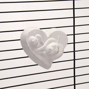 Минеральный камень "Пижон" для птиц сердце с углем, 60 г