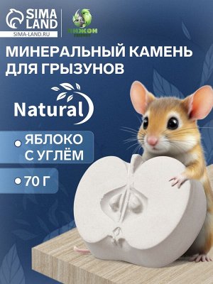 Минеральный камень «Пижон» для грызунов яблоко с углем, 70 г