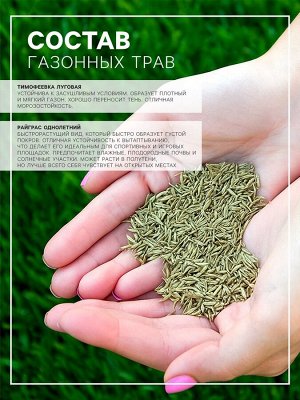 Семена газонной травы БЫСТРЫЙ, 1 кг 2277556