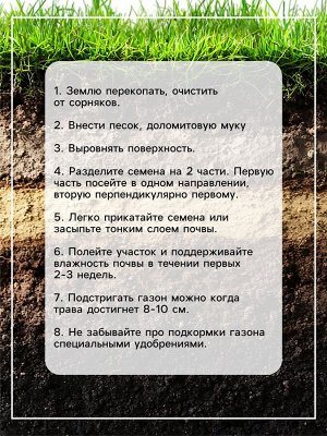 Семена газонной травы БЫСТРЫЙ, 1 кг 2277556