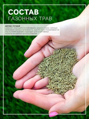 Семена Мятлик луговой "Балин", 400 г