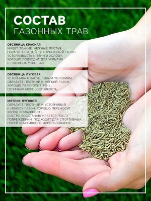 Газон "Гном" 5 кг