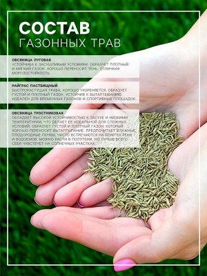 Газонная травосмесь "Гринкипер", "Зимостойкая", 1 кг