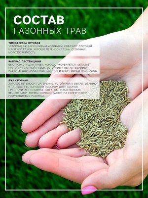 Газонная травосмесь «Городская», 10 кг