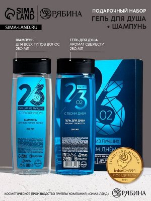Подарочный набор «23 Февраля», гель для душа и шампунь для волос, 2x250 мл, HARD LINE