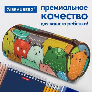 Пенал-тубус BRAUBERG, с эффектом Soft Touch, мягкий, Cats, 22х8 см, 229008