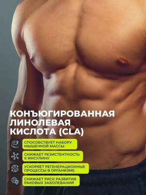 Fat Burner Day  ДНЕВНОЙ жиросжигатель CLA (линолиевой кислотой). Ускоряет метаболизм, повышает энергию, сжигает жир на проблемных местах