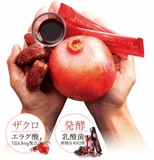 Esthe Pro Labo Zakuro Zyme Paste - ферментированная паста из плодов граната с мощным антиоксидантным эффектом