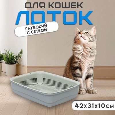 Лотки, когтеточки и когтерезы для вашего любимца