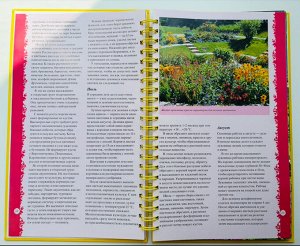 Книга Садовые цветы. Никитина