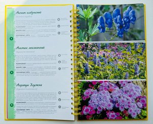 Книга Садовые цветы. Никитина