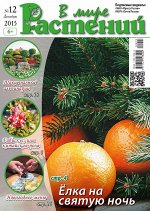 В МИРЕ РАСТЕНИЙ 12/15