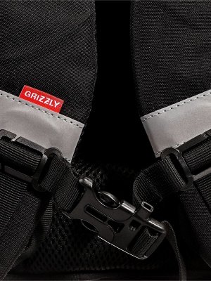 Ранец школьный Стандарт, 33?25?13 см, Grizzly, + мешок для обуви, чёрный