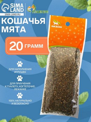 Кошачья мята "Пижон", 20 г
