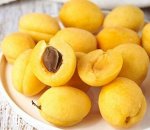 Абрикос Шалах 2-3 года С4 суперцена! С кроной