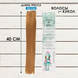 Волосы - тресс для кукол «Прямые» длина волос: 40см, ширина: 50см, №27В