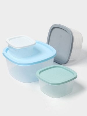 Набор пищевых контейнеров «BioFresh», 4 шт: 0,23 л, 0,5 л, 0,9 л, 1,55 л, цвет микс