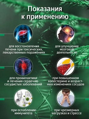 Twin set Абипренолы 10 (концентрат полипренолов)60 кап. Восстановление печени, профилактика мозгового кровообращения, сердечно-сосудистых заболеваний.
