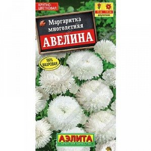 Маргаритка Авелина крупноцветковая (Аэлита)