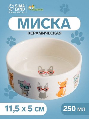 Миска керамическая "Важный пес" 250мл, 11,5 х 5 см, белая