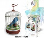 Попугай в клетке, в кор.27*20см