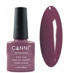 Shellac Canni 164
