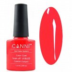 Shellac Canni 111