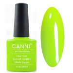 Shellac Canni 002