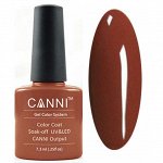 Shellac Canni 016
