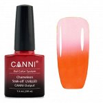 Shellac Canni термо 334