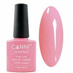 Shellac Canni 039