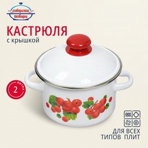 Кастрюля эмалированная сталь, 2 л, с крышкой, крышка сталь, цилиндрическая, Сибирские товары, Калина красная, 1MD161M, индукция